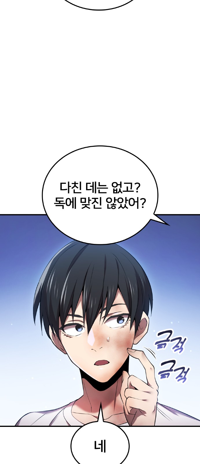 20 페이지