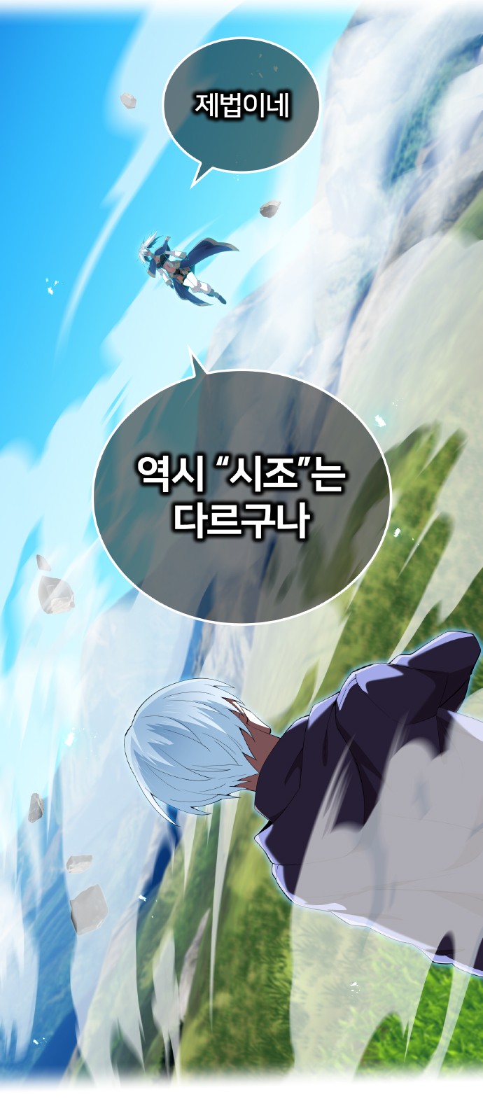31 페이지
