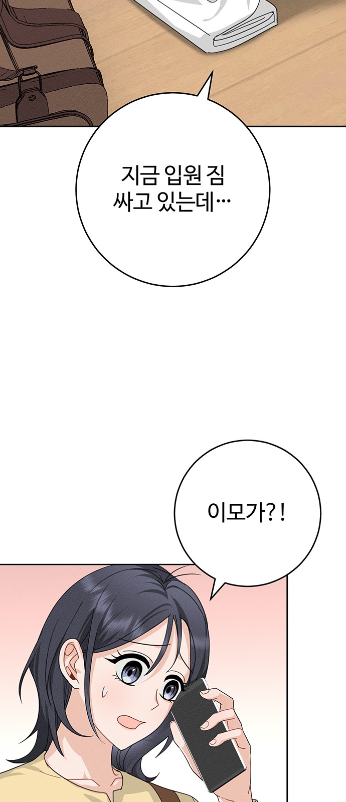 72 페이지