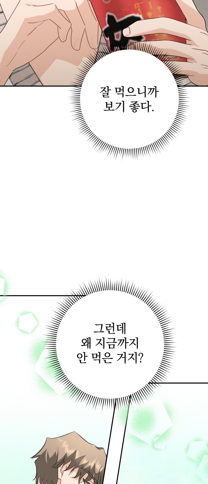 85 페이지
