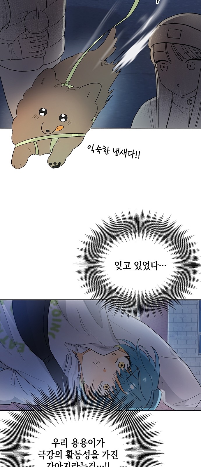 47 페이지