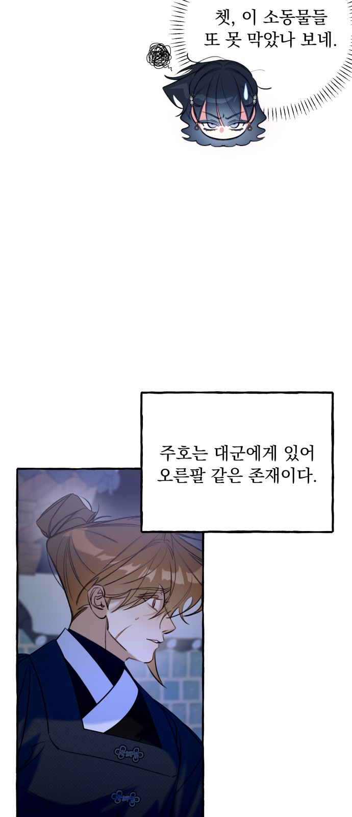 51 페이지