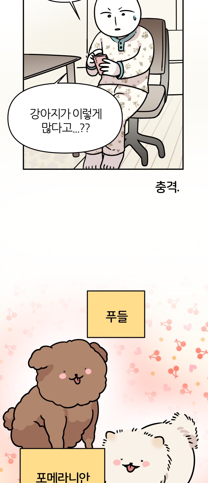 24 페이지