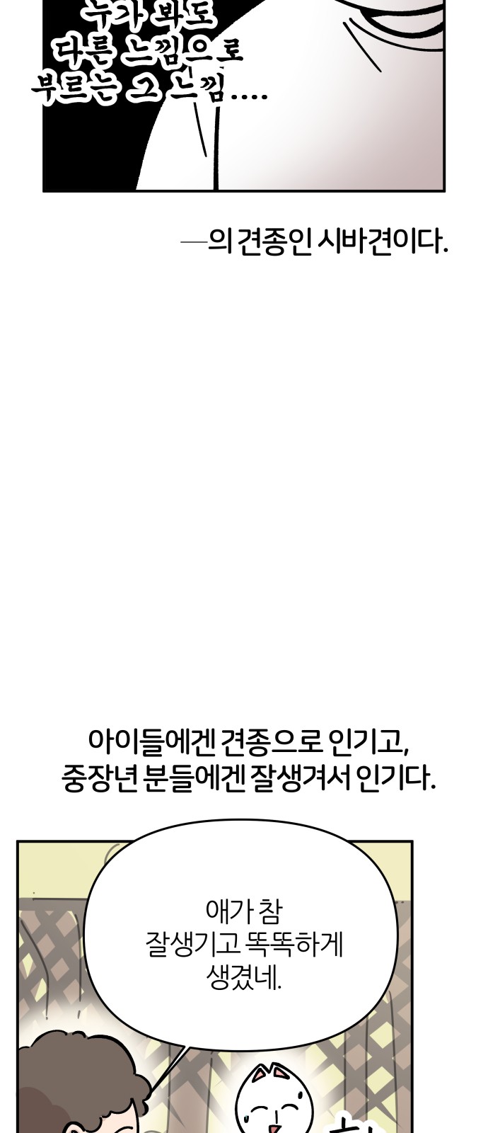 5 페이지