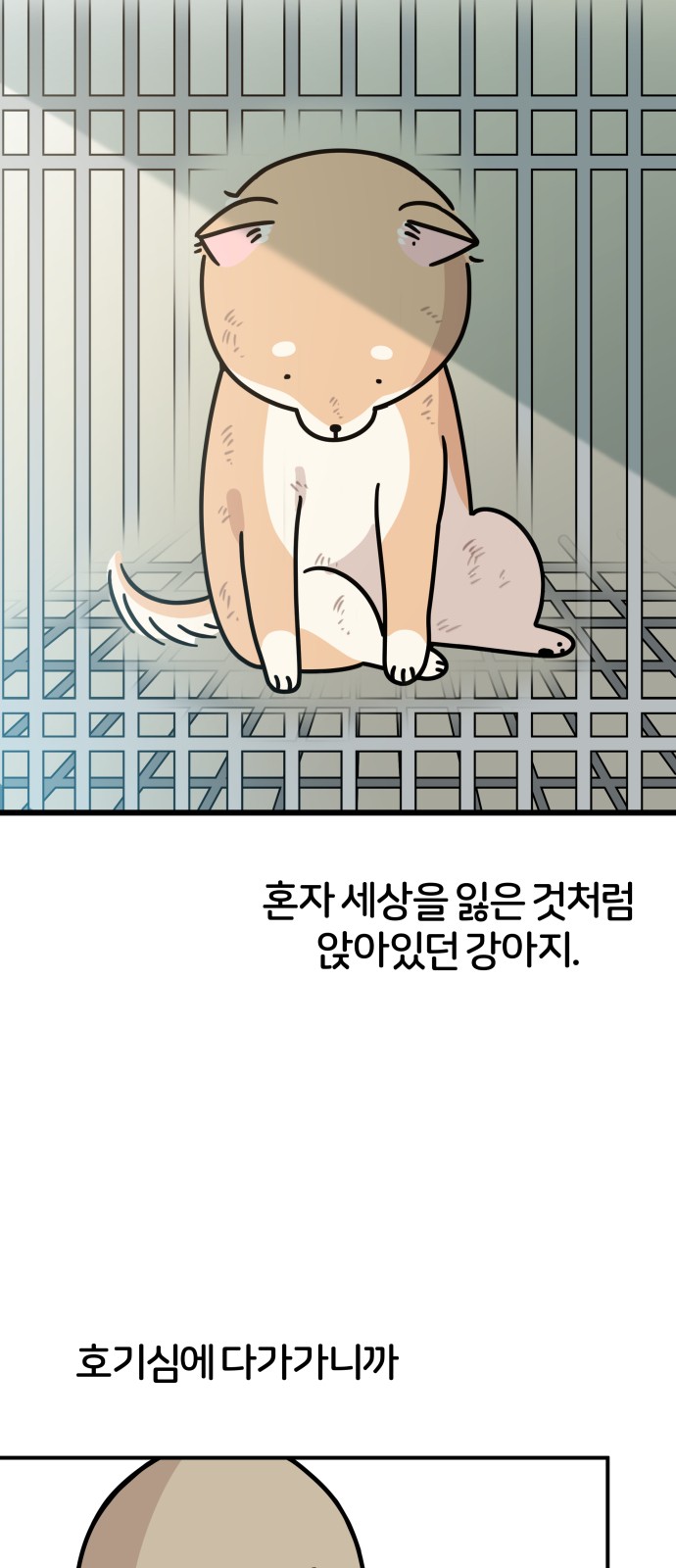 50 페이지