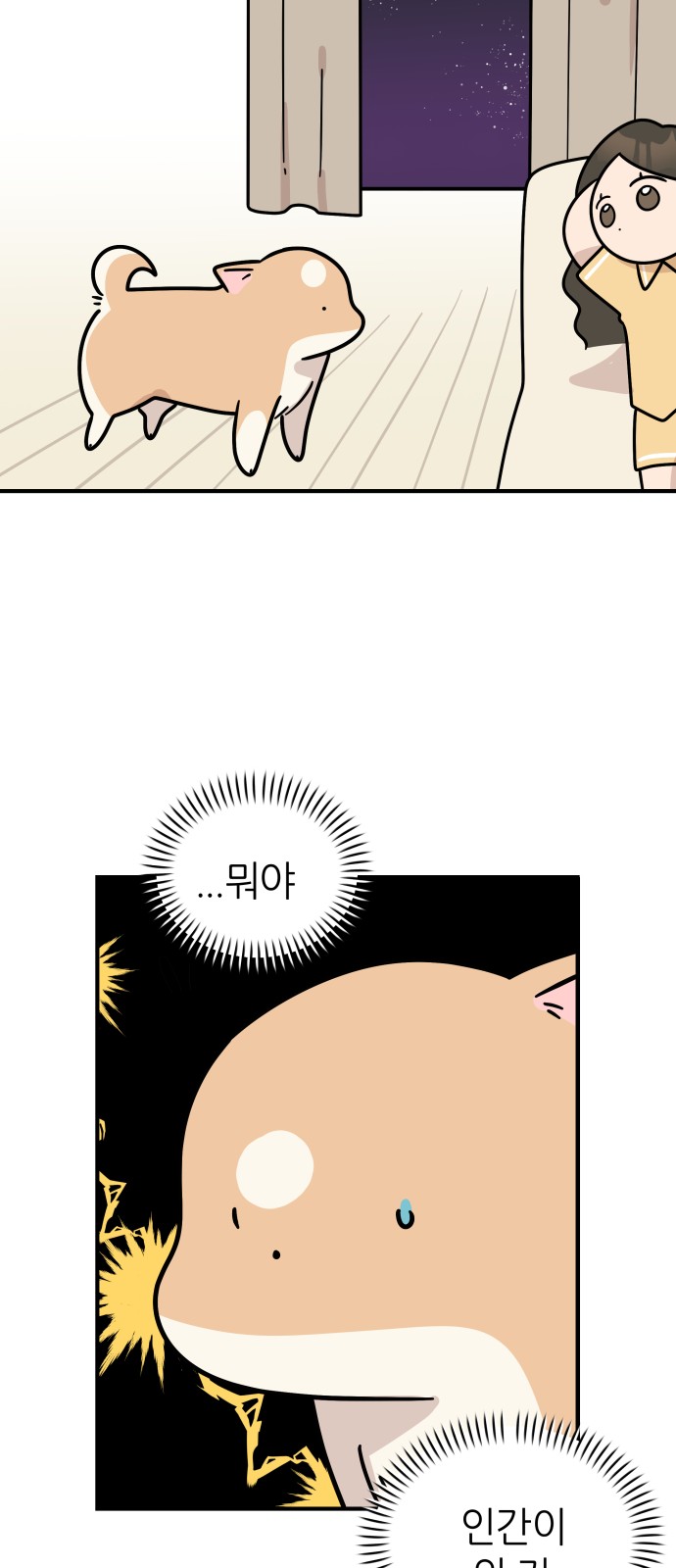 11 페이지