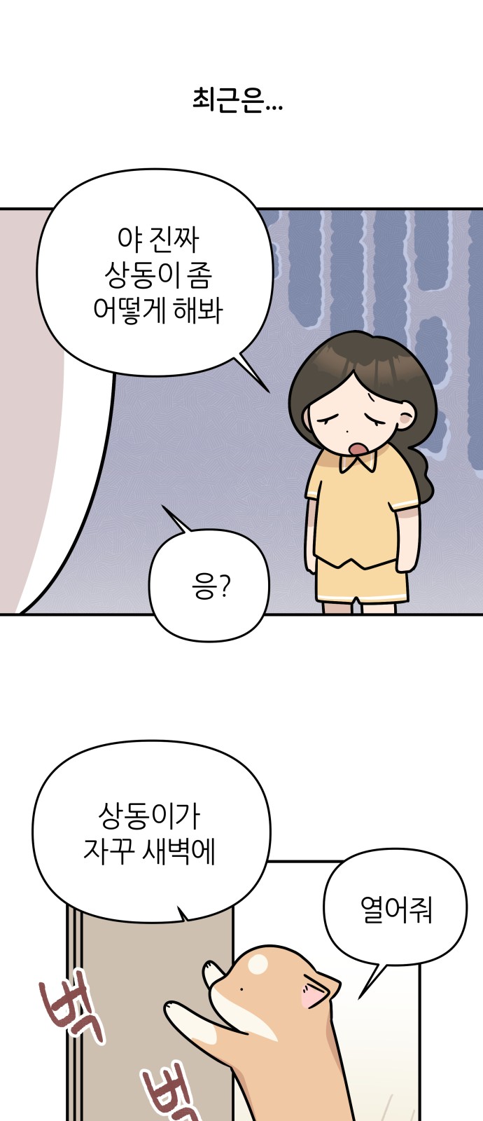 13 페이지