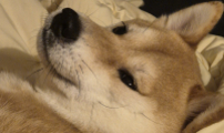 ~후기~