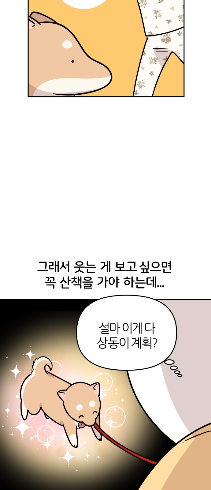 13 페이지