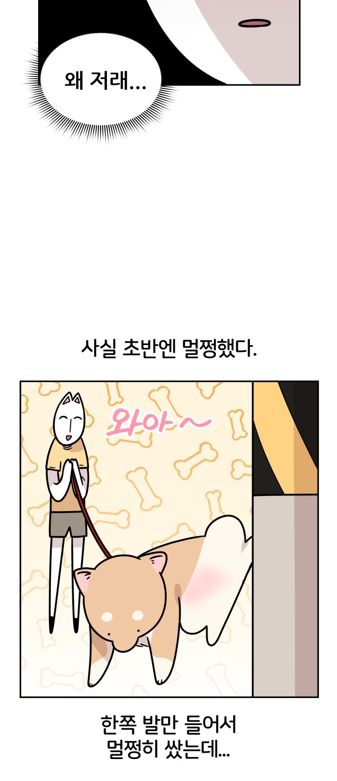 17 페이지