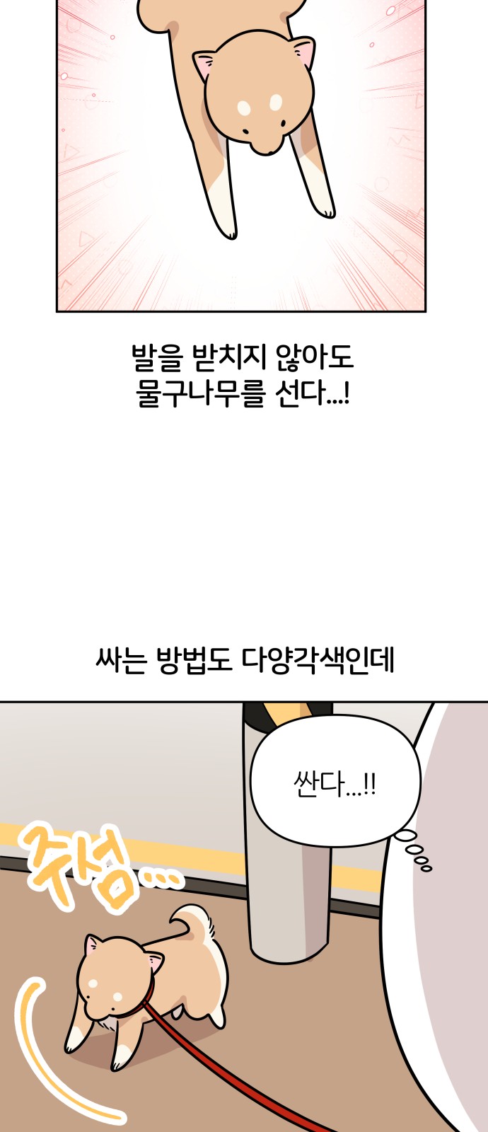23 페이지