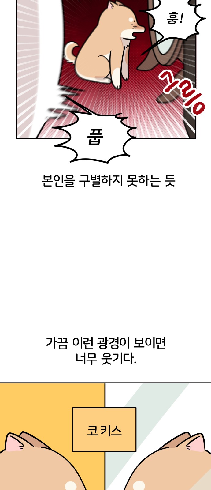 43 페이지
