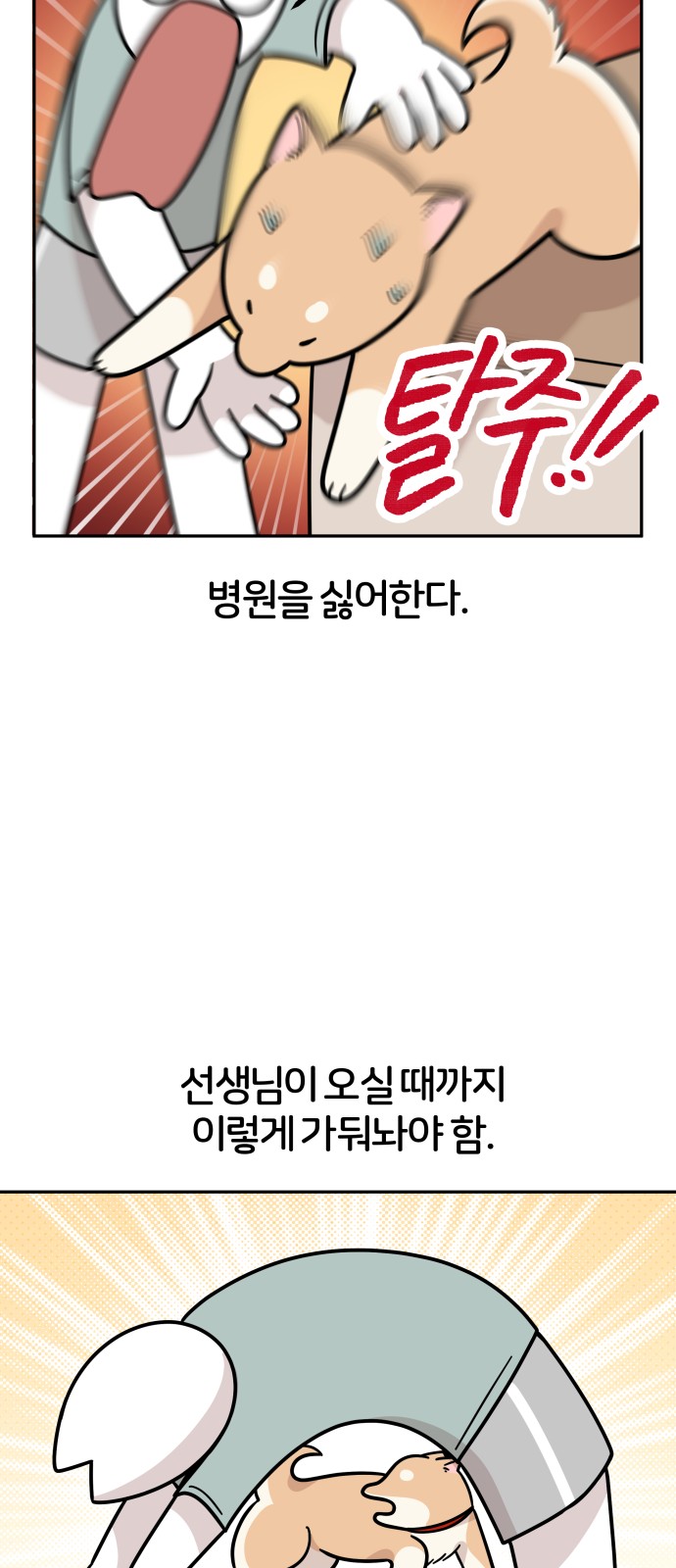 13 페이지