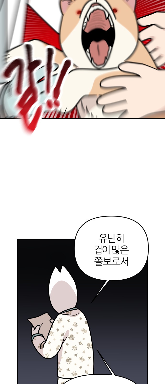 17 페이지