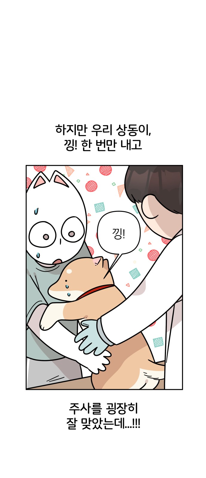 19 페이지