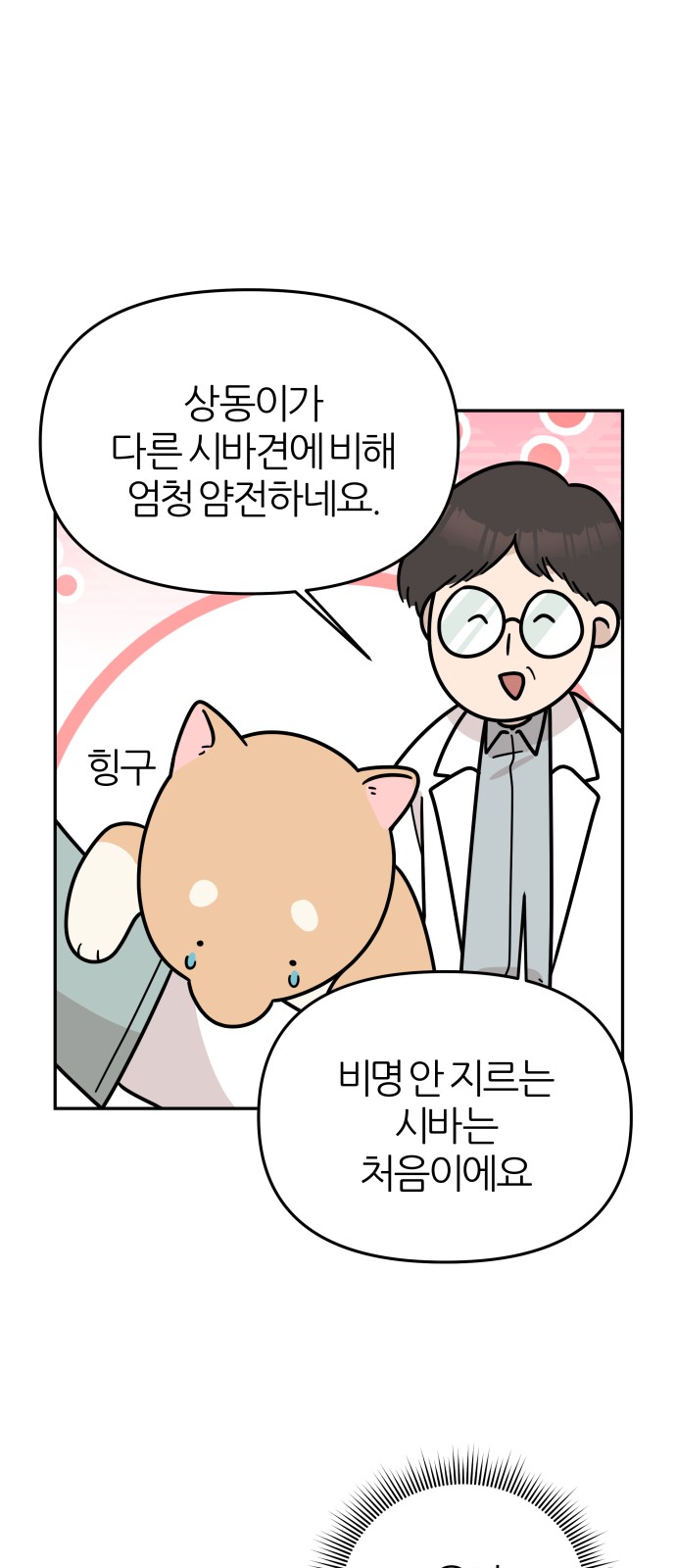 20 페이지