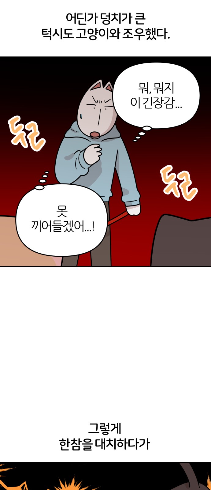 35 페이지