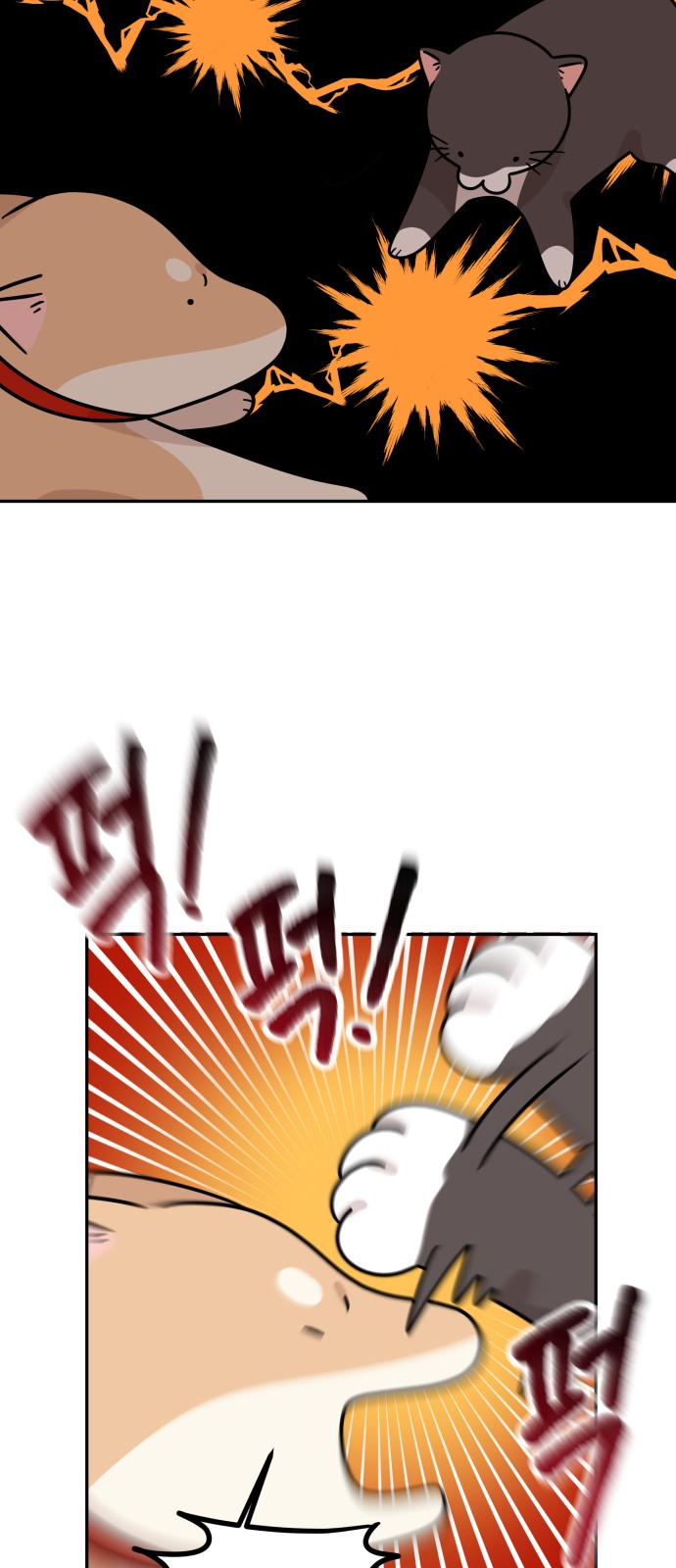 36 페이지