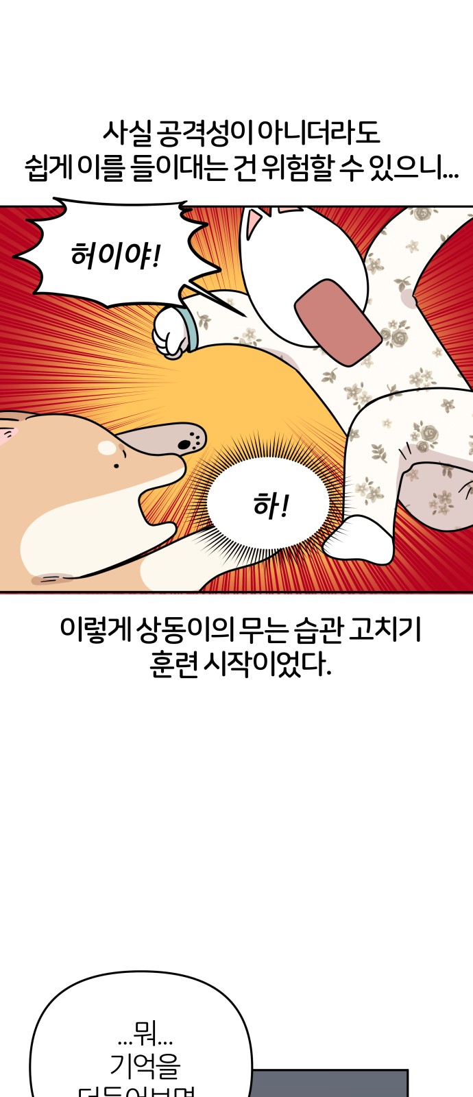 13 페이지