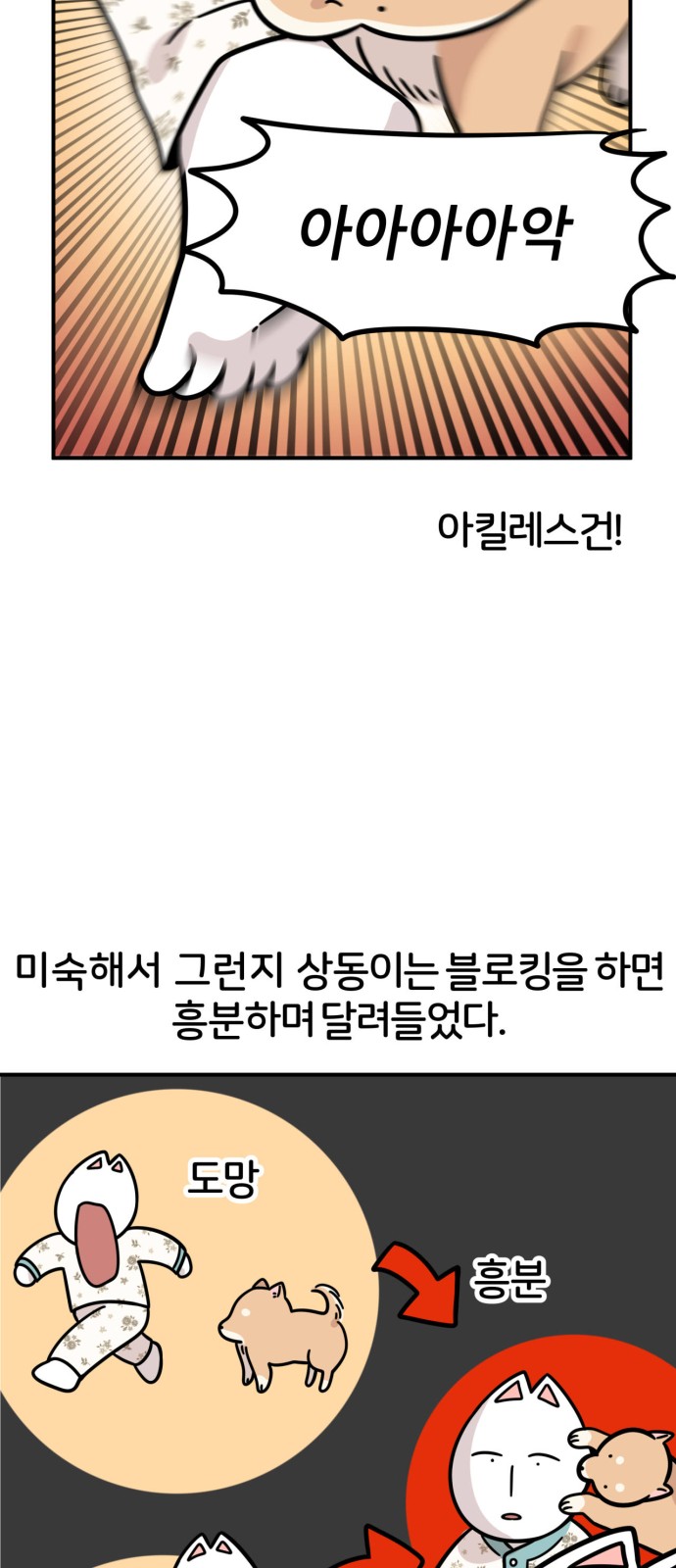 20 페이지