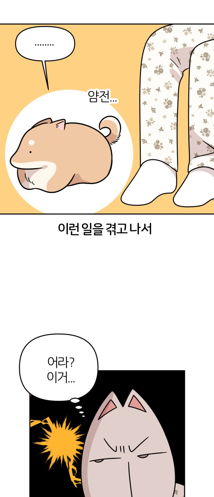35 페이지
