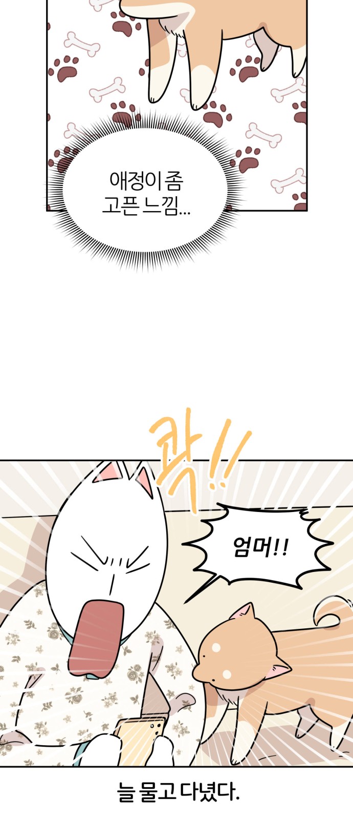 5 페이지