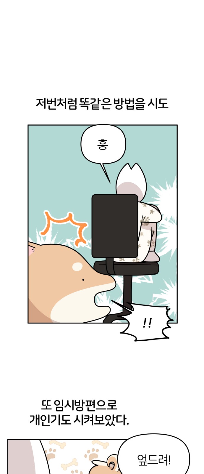 10 페이지