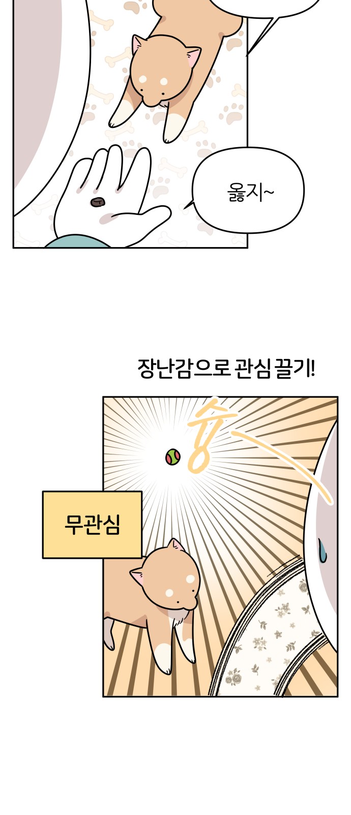 11 페이지