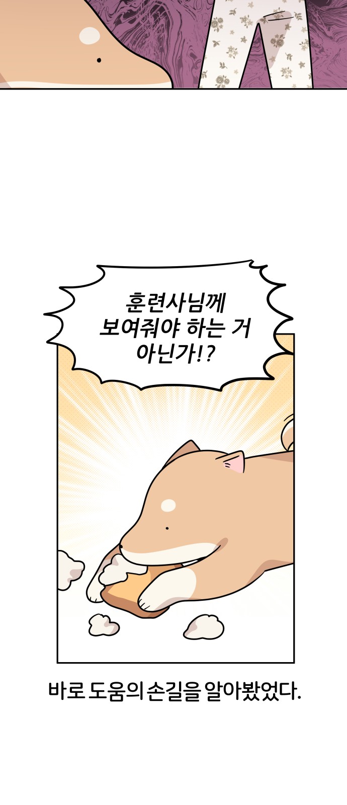 20 페이지