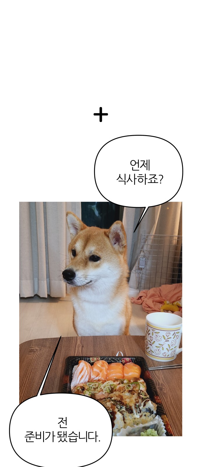 41 페이지