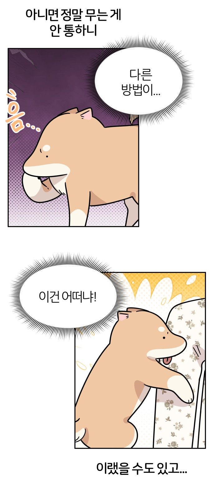 6 페이지