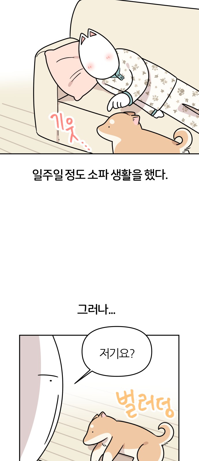 11 페이지