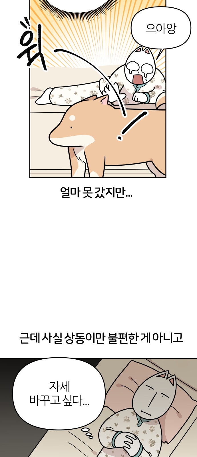 14 페이지