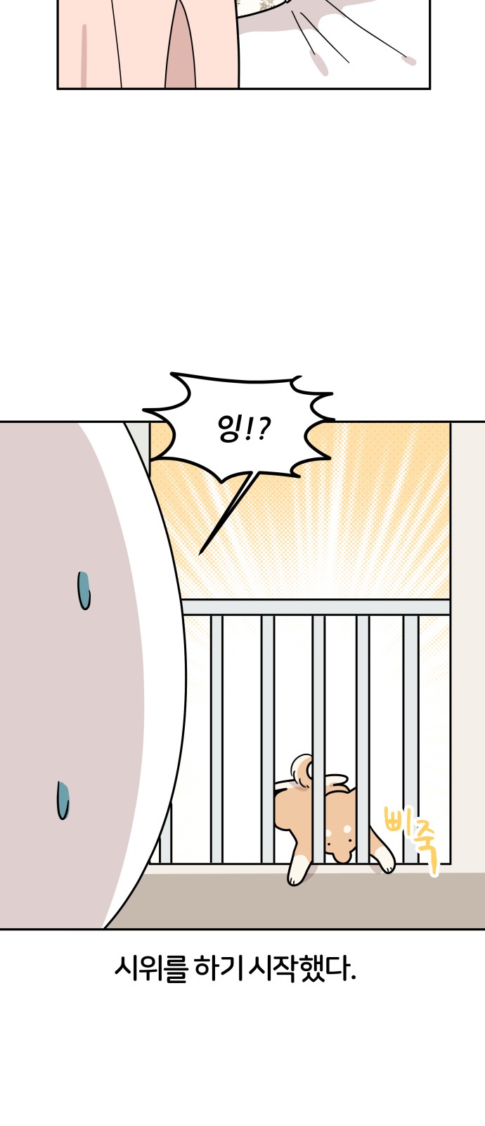 19 페이지