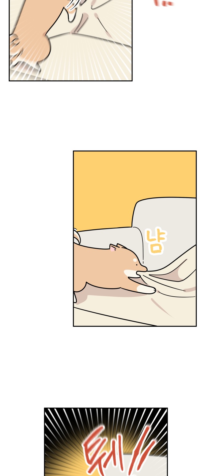 37 페이지