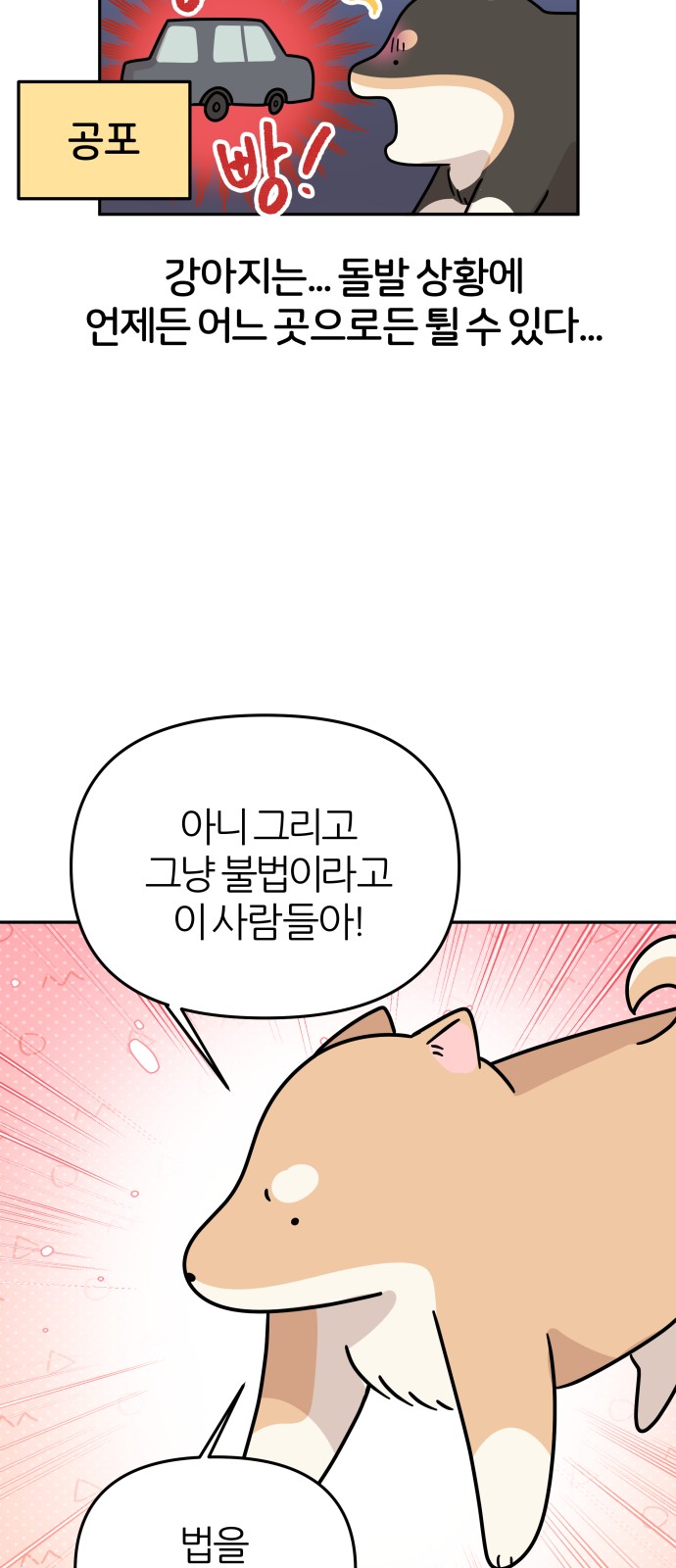 15 페이지