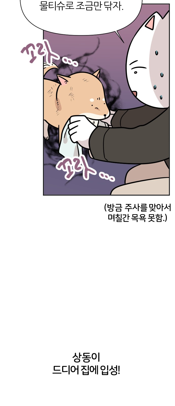 17 페이지