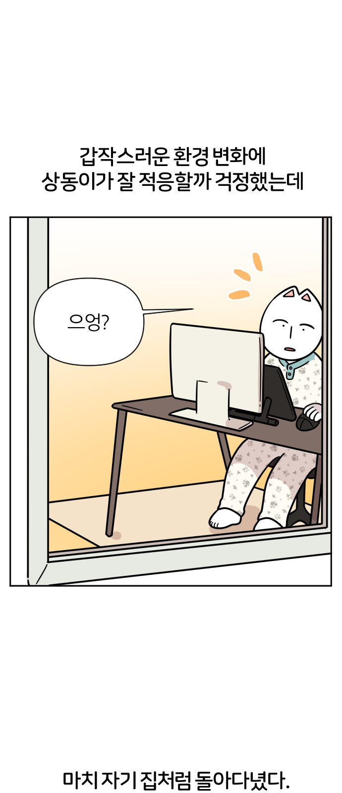 20 페이지