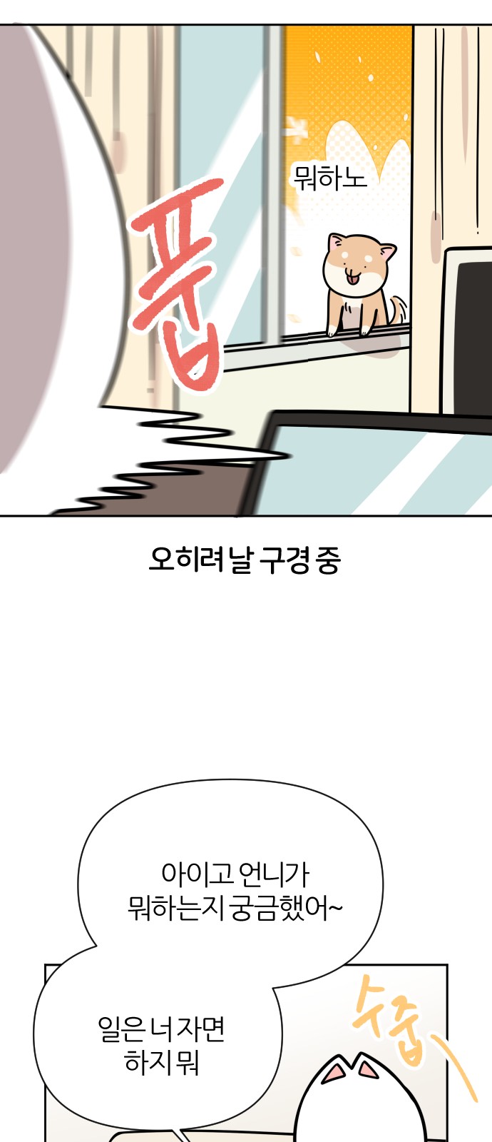 21 페이지