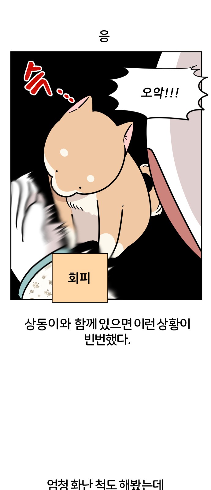 40 페이지