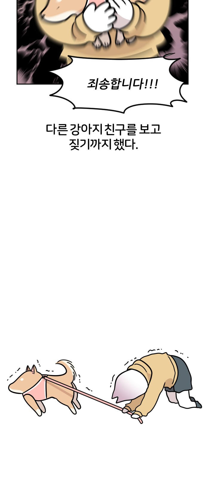 53 페이지