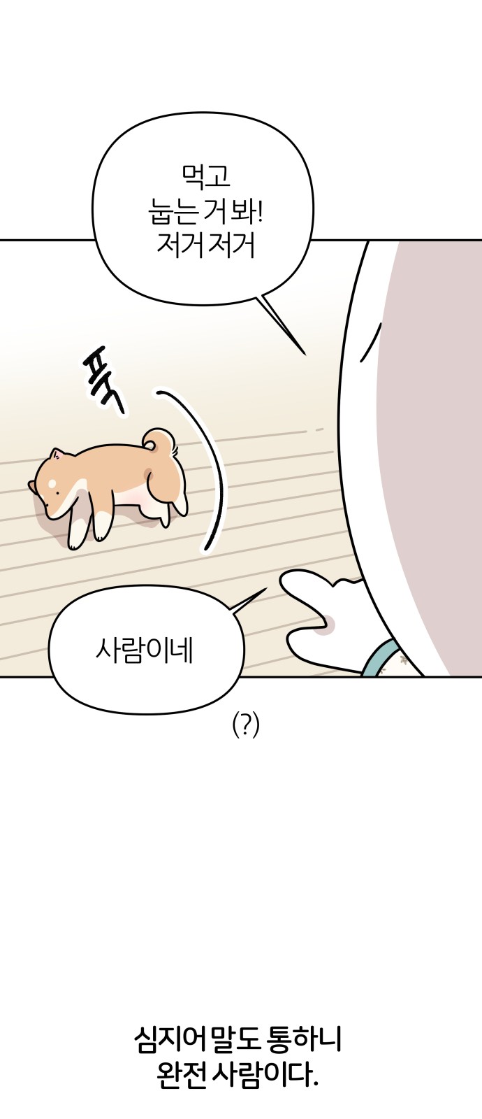 10 페이지