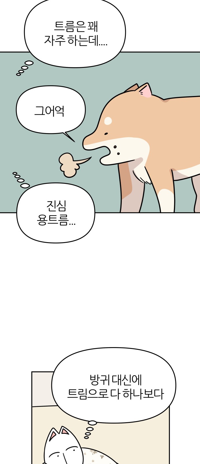 15 페이지