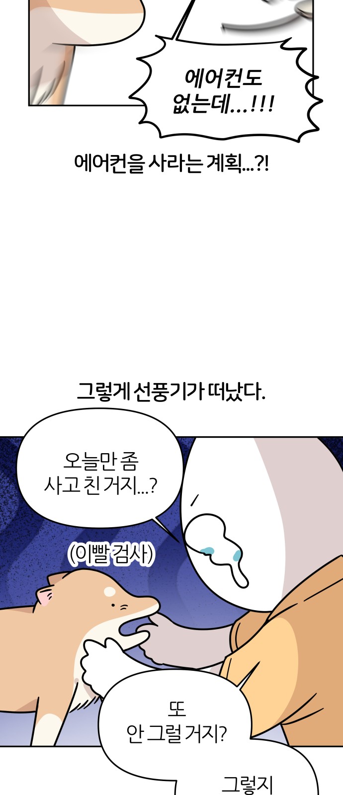 12 페이지