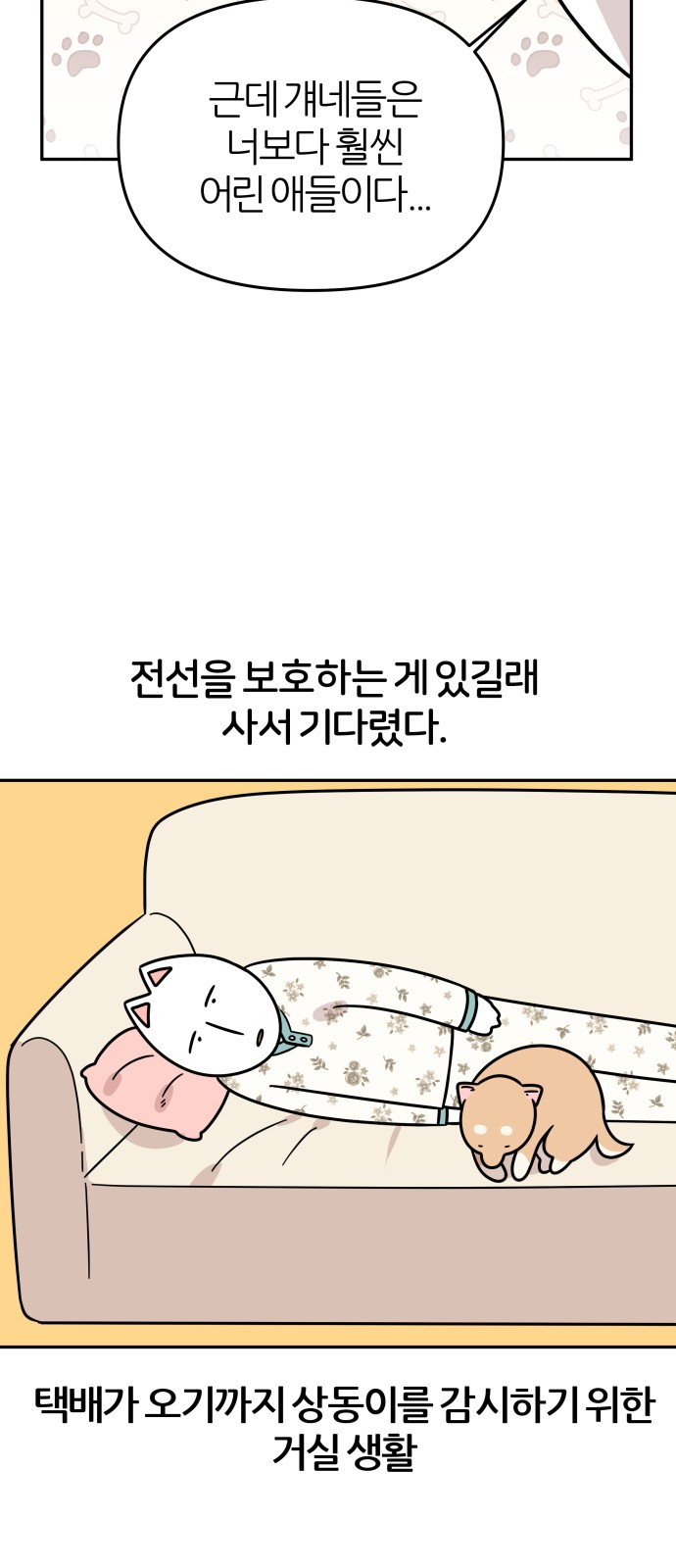 16 페이지