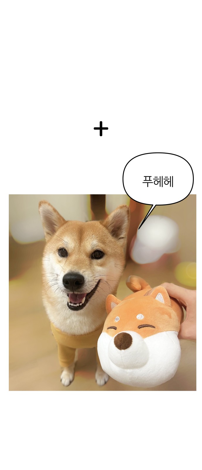 42 페이지
