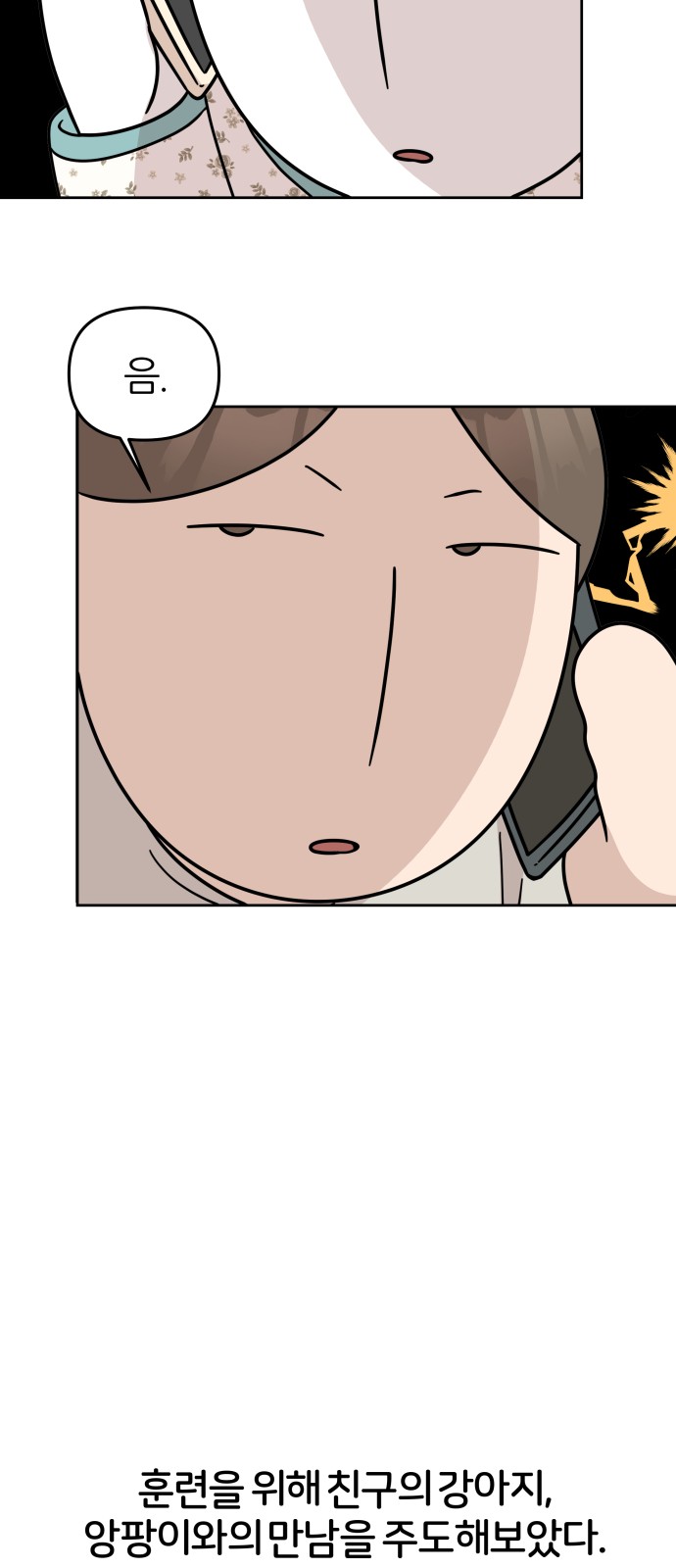 17 페이지