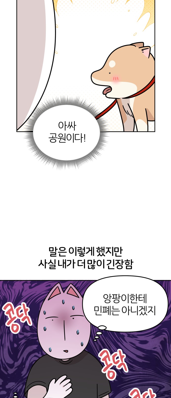 19 페이지