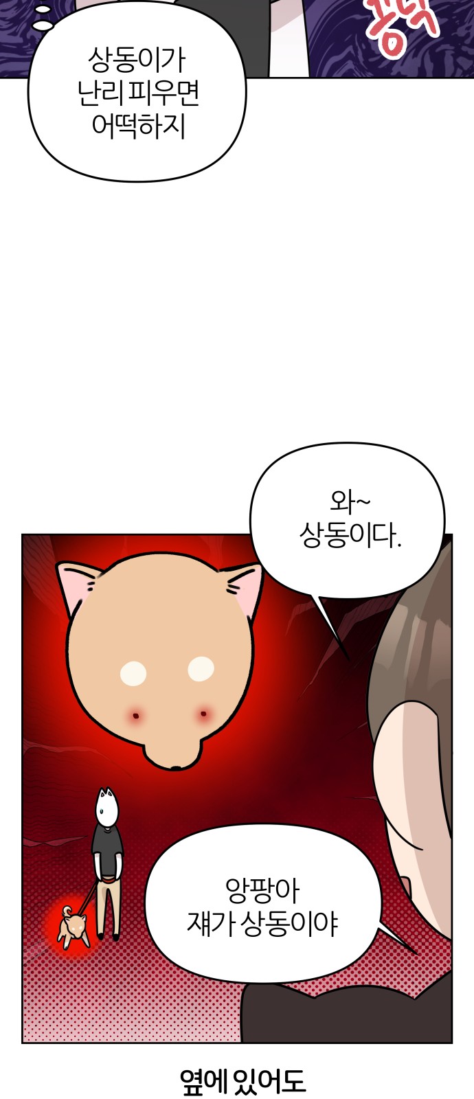 20 페이지