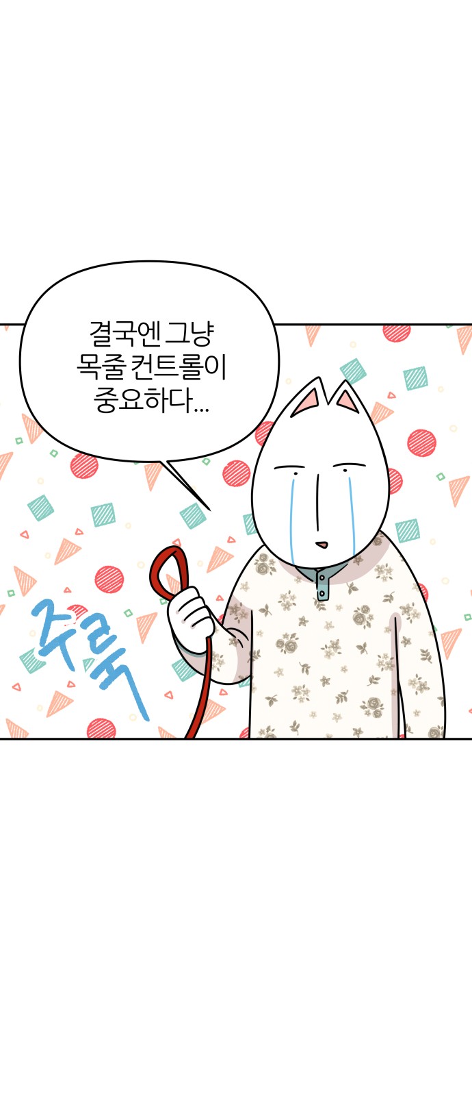 5 페이지